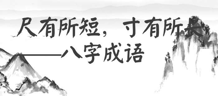 尺有所短，寸有所长