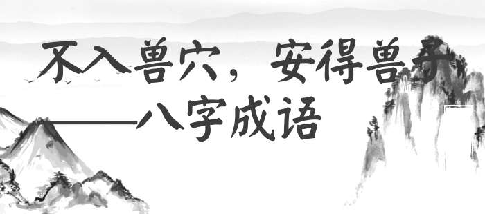 不入兽穴，安得兽子