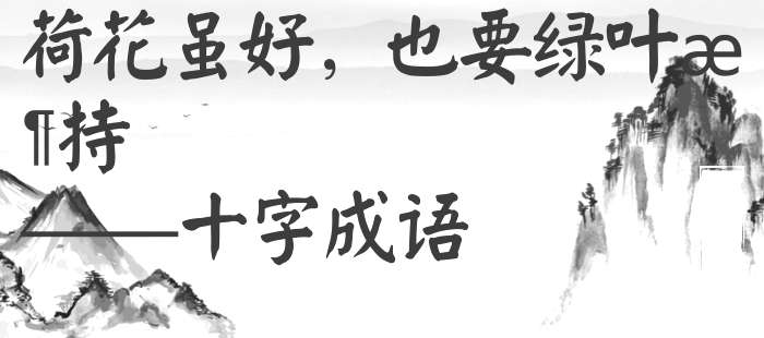 荷花虽好，也要绿叶扶持