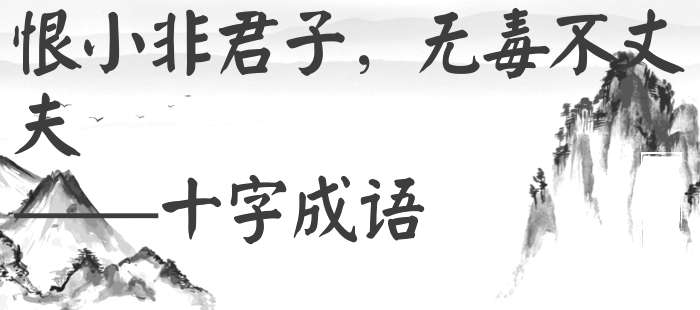 恨小非君子，无毒不丈夫