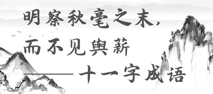 明察秋毫之末，而不见舆薪