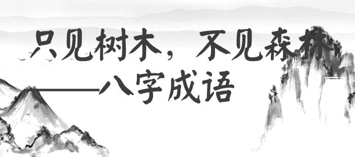 只见树木，不见森林