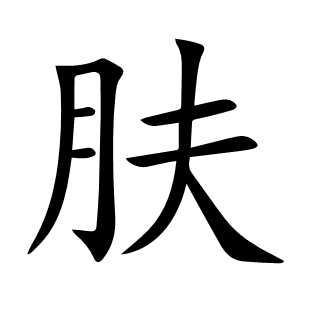 肤