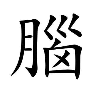 腦