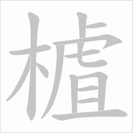 樝