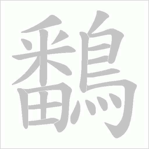 鷭