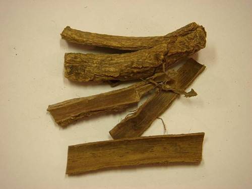 秦皮中药材_秦皮的功效与作用_秦皮使用方法和禁忌_识趣工具网