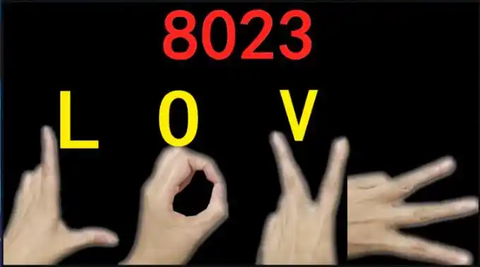 8023是什么意思啊