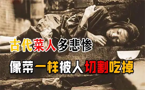 菜人是什么意思