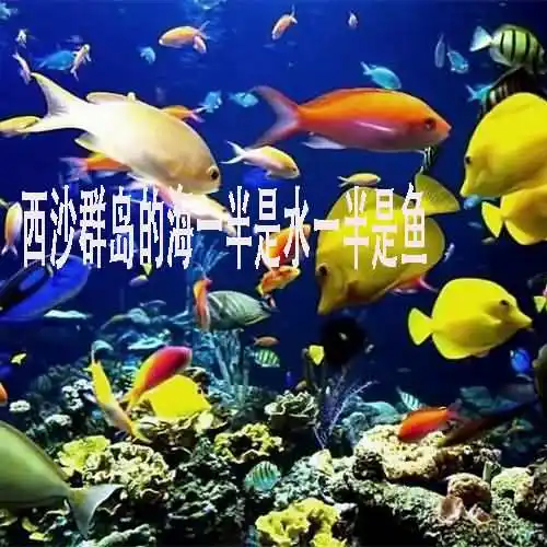 西沙群岛的海一半是水一半是鱼是啥修辞手法？