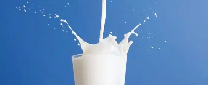 脱脂牛奶和全脂牛奶的区别是什么？