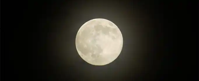 关于圆圆的月亮像什么的句子有哪些？