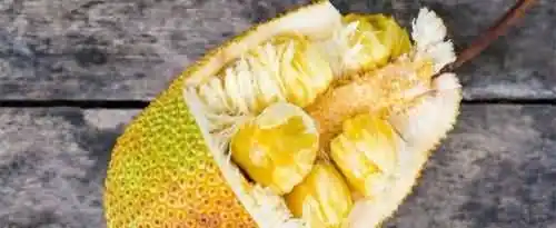 吃菠萝蜜一次可以几颗？
