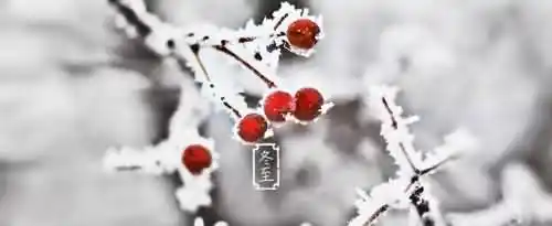 十一月为什么也有冬月的称呼？