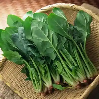 宋朝人吃火锅能吃到菠菜还是土豆？