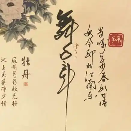 豆蔻是多少岁？