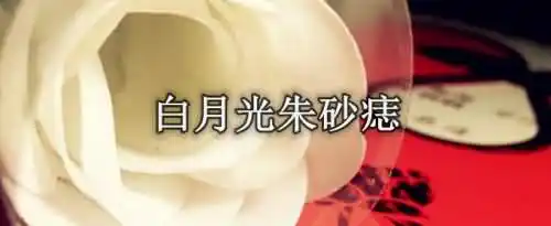 白月光和朱砂痣在爱情中表达的意思是什么？