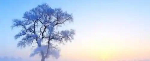 有哪些下雪天发朋友圈的精美句子？