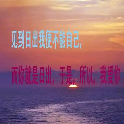 见到日出我便不能自己下一句是什么？