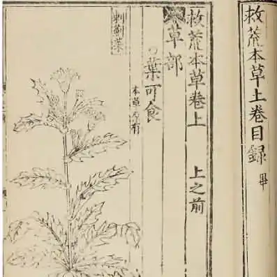 救荒本草是哪个朝代朱橚编纂的一部专著？