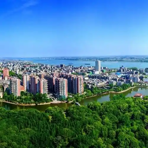 蜀江至此分枝是什么地方？