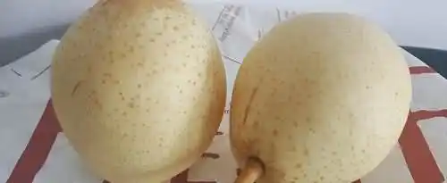 如何辨别雪花梨？