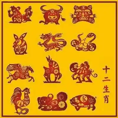 夜肖指的是哪几个生肖？