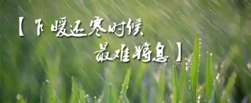 乍暖还寒时候最难将息是什么意思？