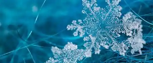 关于雪花像什么有哪些句子？