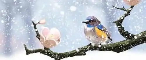 有哪些写雪的古诗诗句？