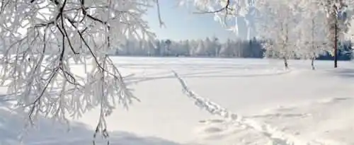 关于大雪节气的谚语及诗句有哪些？
