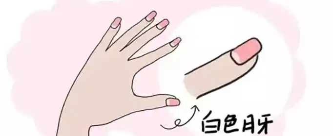指甲上有月牙代表健康吗？