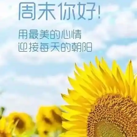 周末是指哪一天还是两天？