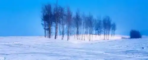 大雪节气的谚语有哪些？