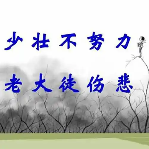 少壮不努力,老大徒伤悲是哪首诗里的诗句？
