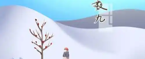 什么时候开始数九？