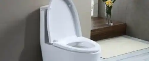 家用马桶堵住了该怎么疏通？