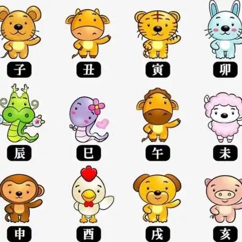 女肖是指的哪几个生肖？