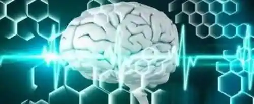 mect的意思是什么？