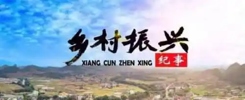 乡村振兴包括哪五个方面的振兴？