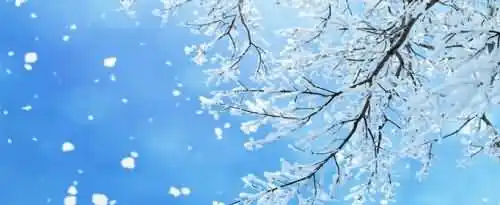 有哪些关于下雪的唯美短句？
