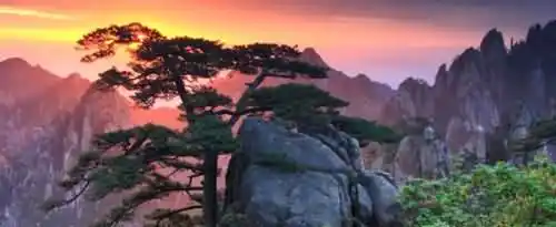 远赴人间惊鸿宴一睹人间盛世颜的下一句是什么？