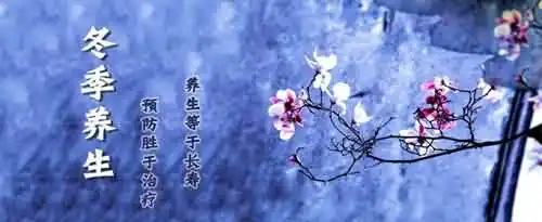冬季吃什么养生？