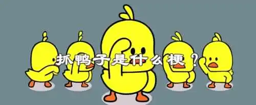 抓鸭子是什么梗？