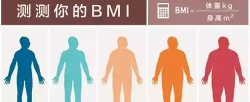 身高的平方怎么算？