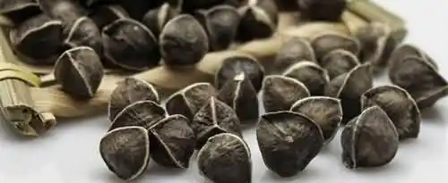 辣木籽的功效与作用及食用方法是什么？