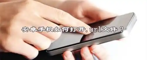 安卓手机如何打开.url文件？