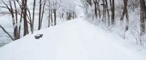 关于大雪节气的诗句有哪些？