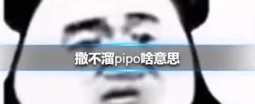 撒不溜pipo是什么意思？