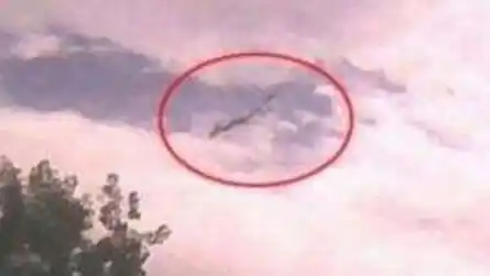 发现龙 不敢公开发现龙是真的吗 中国十大真龙现身事件